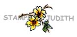 C-166 Apple Blossoms
